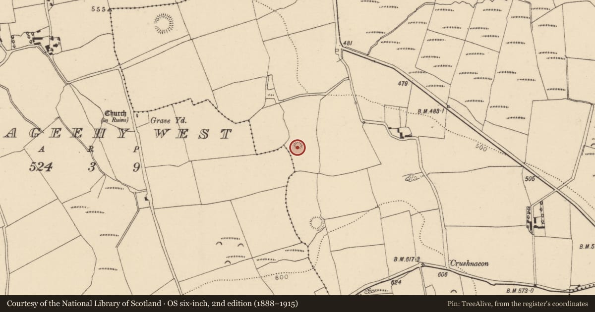 Ordnance Survey six-inch map, 2nd edition (1888–1915) covering the location of Fulacht fia, Ardnageehy East, County Cork, with a pin at the register's coordinates