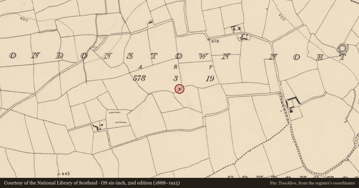 Ordnance Survey six-inch map, 2nd edition (1888–1915) covering the location of Ringfort - rath, Condonstown North, County Cork, with a pin at the register's coordinates