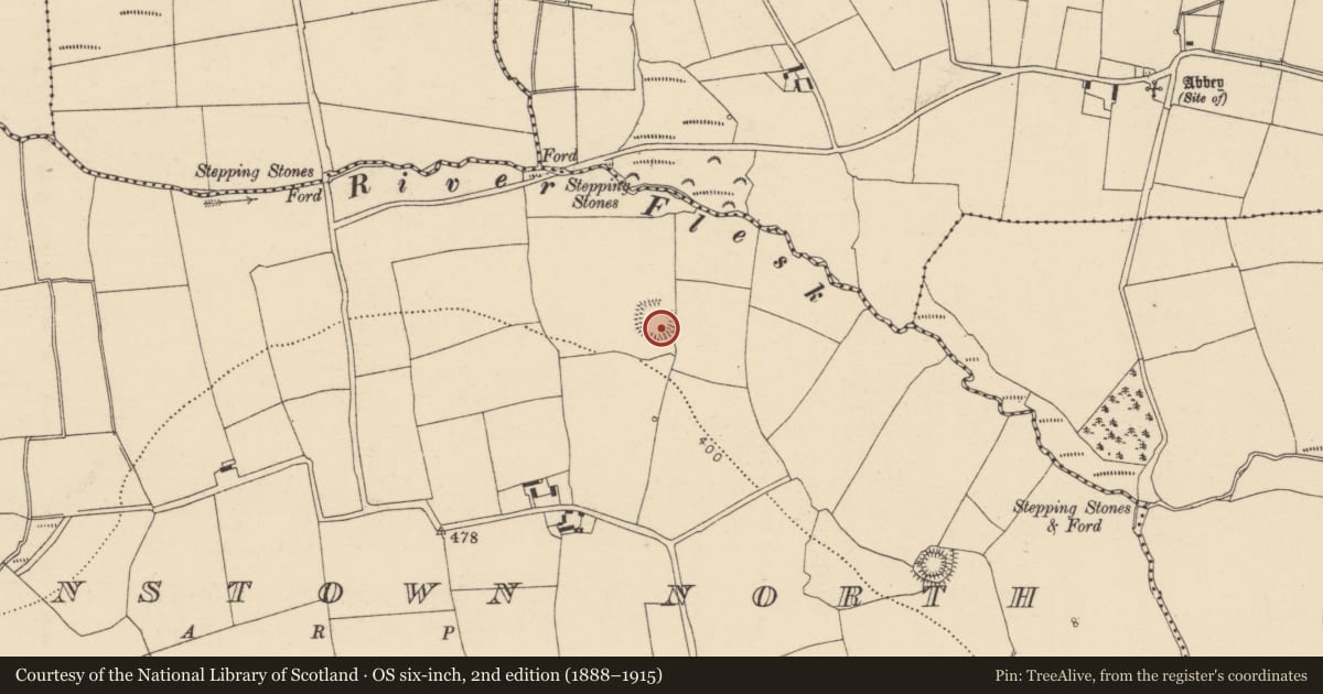 Ordnance Survey six-inch map, 2nd edition (1888–1915) covering the location of Ringfort - rath, Condonstown North, County Cork, with a pin at the register's coordinates