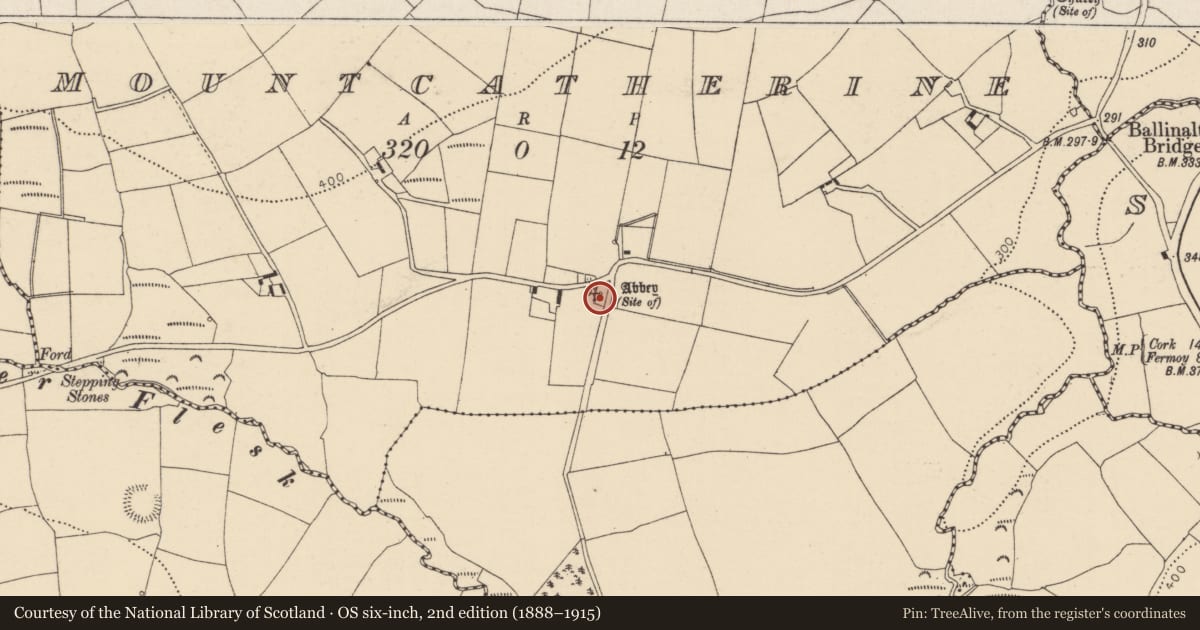 Ordnance Survey six-inch map, 2nd edition (1888–1915) covering the location of Religious house - unclassified, Mountcatherine, County Cork, with a pin at the register's coordinates