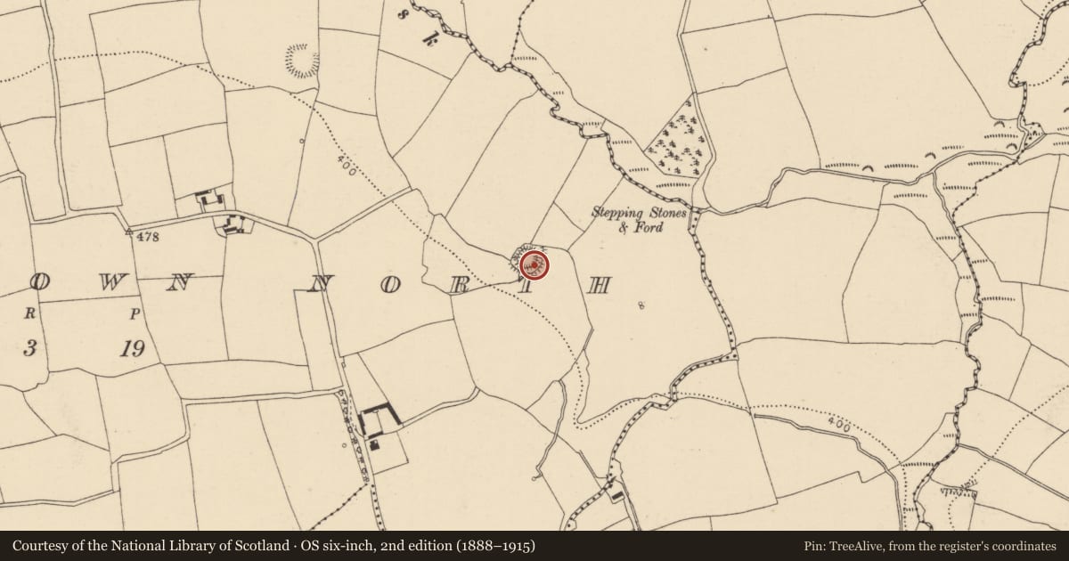 Ordnance Survey six-inch map, 2nd edition (1888–1915) covering the location of Ringfort - rath, Condonstown North, County Cork, with a pin at the register's coordinates