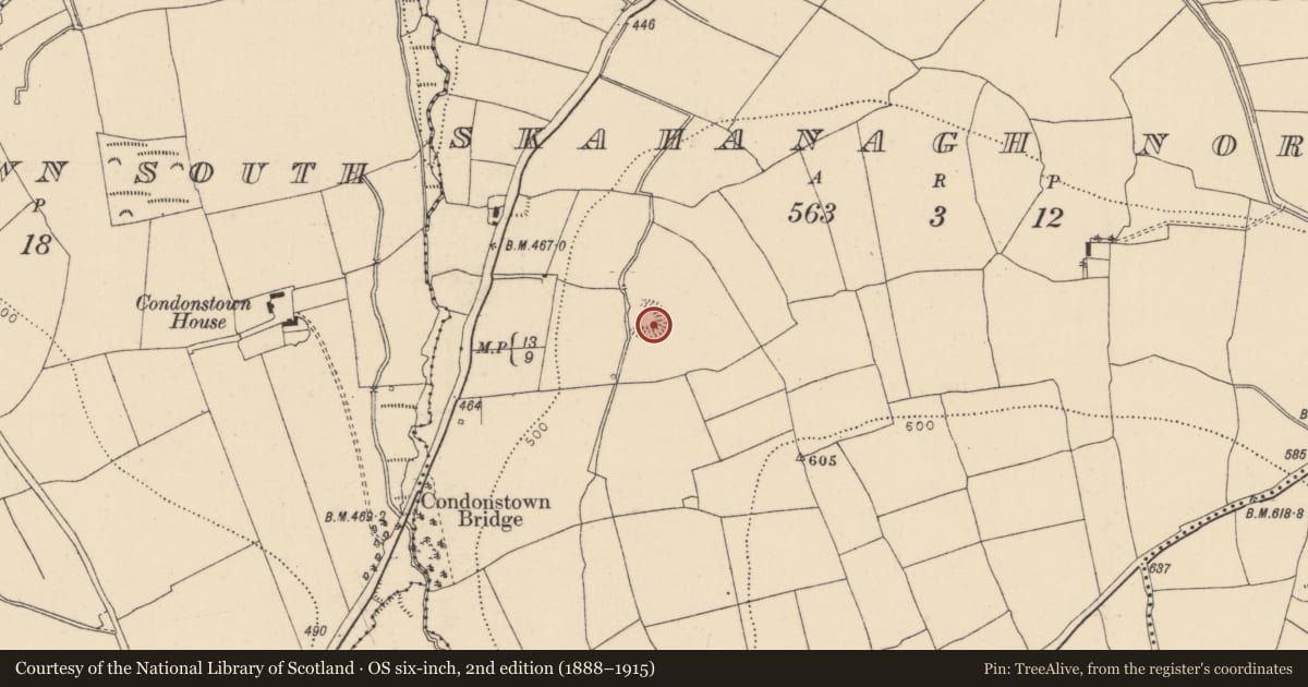 Ordnance Survey six-inch map, 2nd edition (1888–1915) covering the location of Ringfort - rath, Skahanagh North, County Cork, with a pin at the register's coordinates