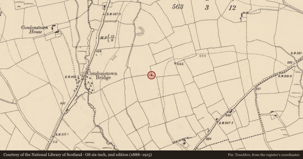 Ordnance Survey six-inch map, 2nd edition (1888–1915) covering the location of Ringfort - rath, Skahanagh North, County Cork, with a pin at the register's coordinates