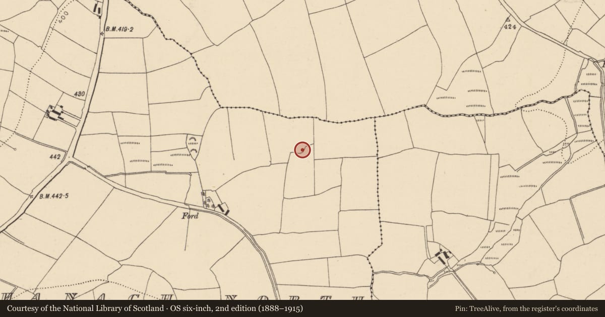 Ordnance Survey six-inch map, 2nd edition (1888–1915) covering the location of Ringfort - rath, Skahanagh North, County Cork, with a pin at the register's coordinates