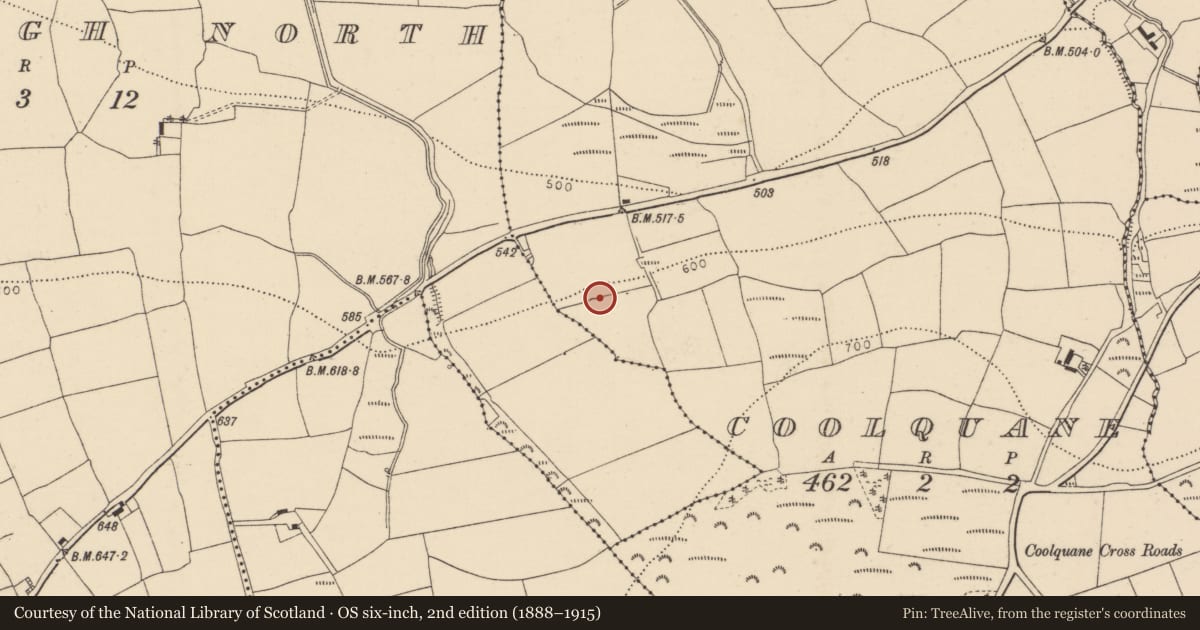 Ordnance Survey six-inch map, 2nd edition (1888–1915) covering the location of Ringfort - rath, Coolquane, County Cork, with a pin at the register's coordinates