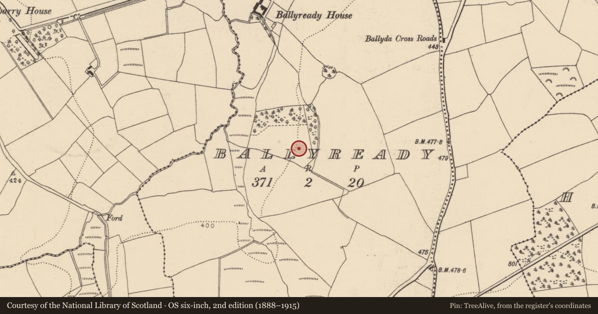 Ordnance Survey six-inch map, 2nd edition (1888–1915) covering the location of Ringfort - rath, Ballyready, County Cork, with a pin at the register's coordinates