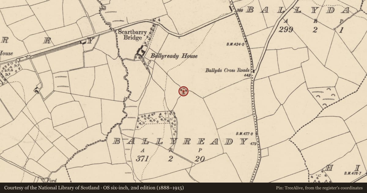 Ordnance Survey six-inch map, 2nd edition (1888–1915) covering the location of Ringfort - rath, Ballyready, County Cork, with a pin at the register's coordinates