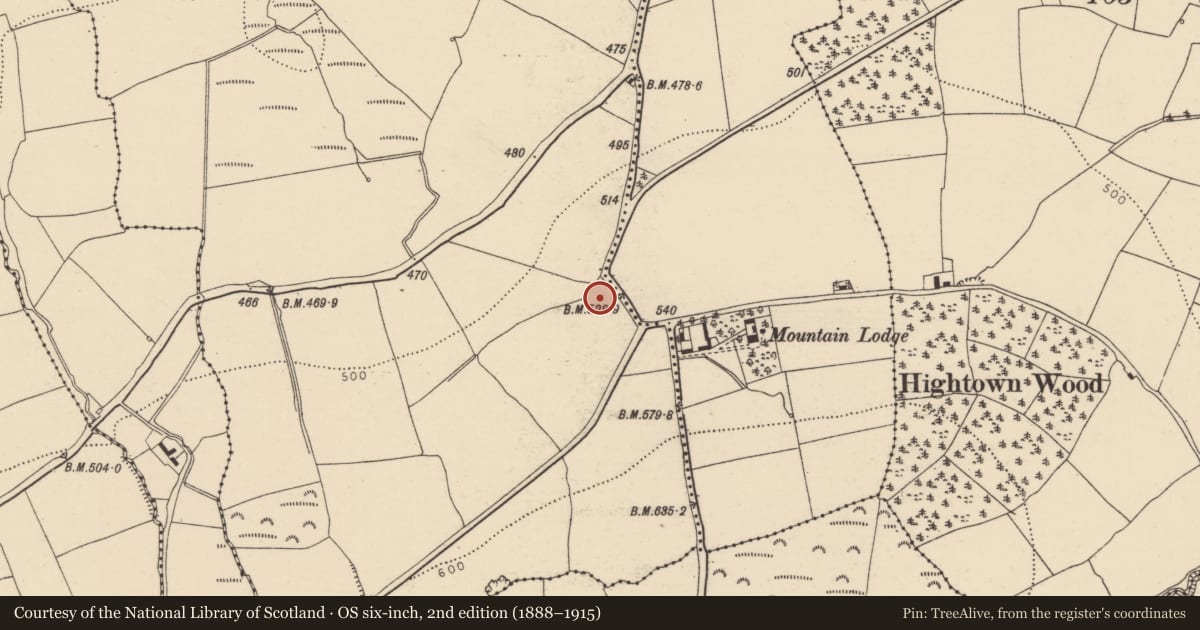 Ordnance Survey six-inch map, 2nd edition (1888–1915) covering the location of Ringfort - rath, Ballyready, County Cork, with a pin at the register's coordinates