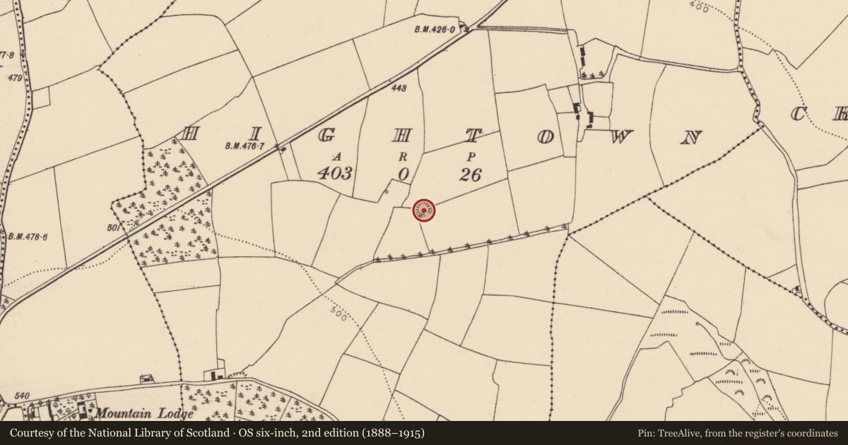 Ordnance Survey six-inch map, 2nd edition (1888–1915) covering the location of Ringfort - rath, Hightown, County Cork, with a pin at the register's coordinates