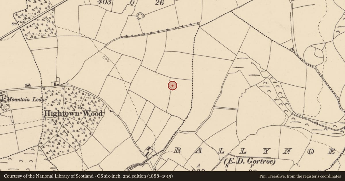 Ordnance Survey six-inch map, 2nd edition (1888–1915) covering the location of Enclosure, Hightown, County Cork, with a pin at the register's coordinates