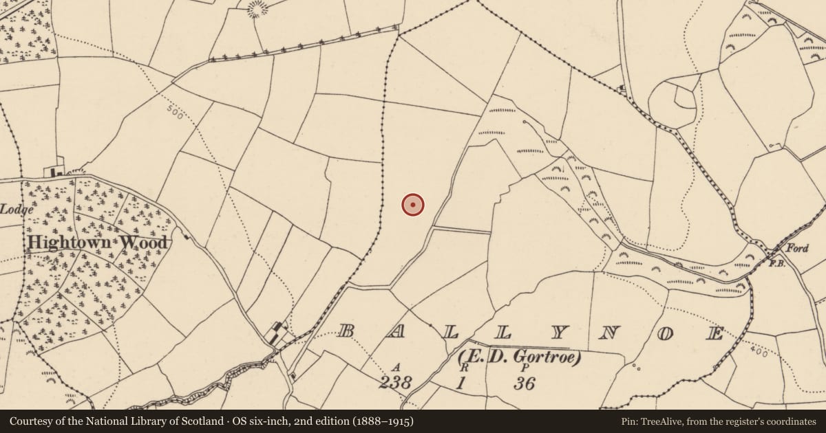 Ordnance Survey six-inch map, 2nd edition (1888–1915) covering the location of Ringfort - rath, Ballynoe (Barrymore By., Gortroe Par.), County Cork, with a pin at the register's coordinates
