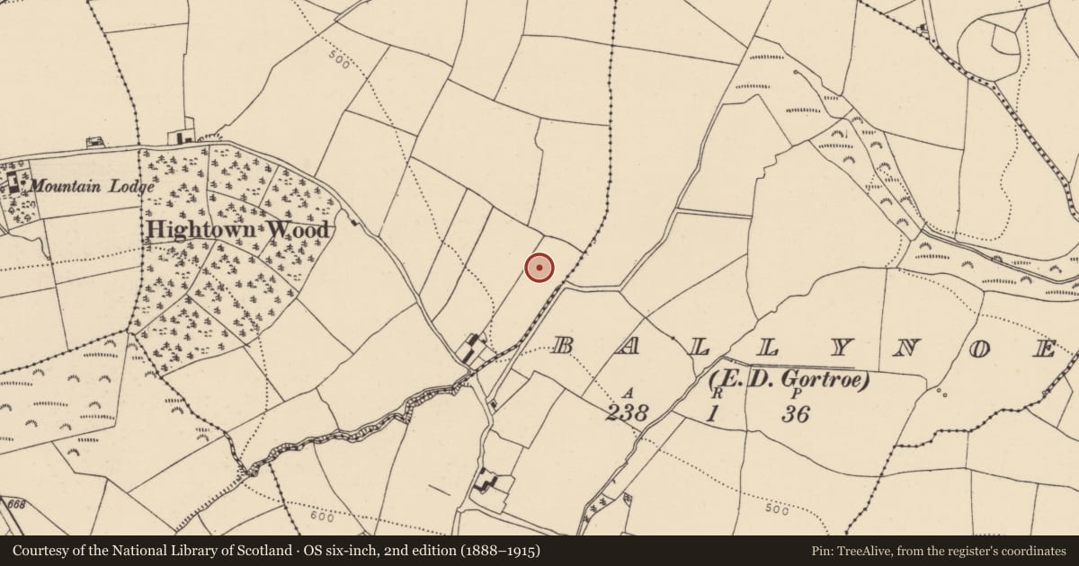 Ordnance Survey six-inch map, 2nd edition (1888–1915) covering the location of Enclosure, Hightown, County Cork, with a pin at the register's coordinates