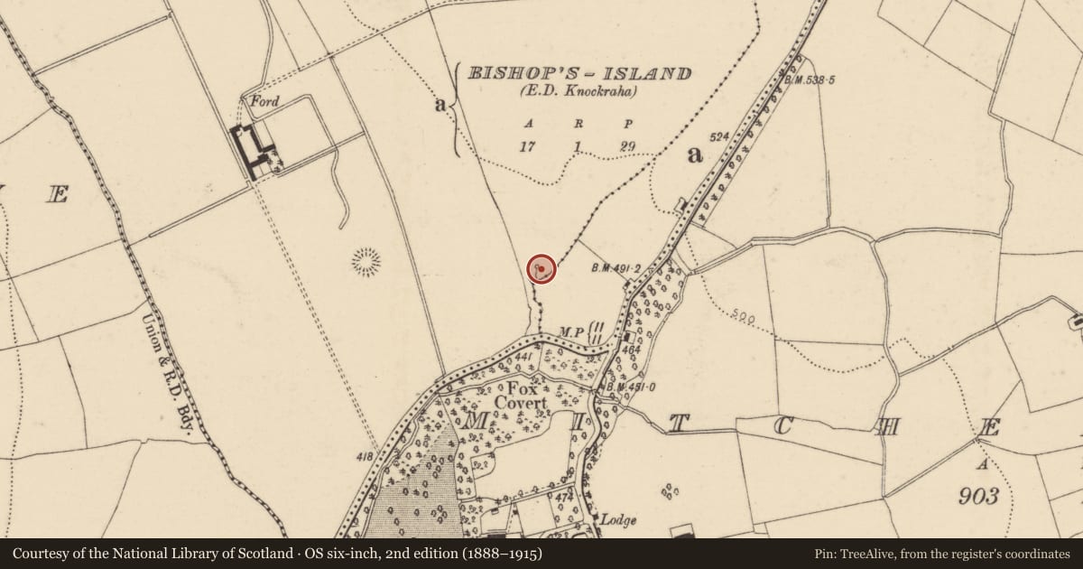 Ordnance Survey six-inch map, 2nd edition (1888–1915) covering the location of Fulacht fia, Bishop'S Island (Barrymore By., Ardnageehy Par.), County Cork, with a pin at the register's coordinates