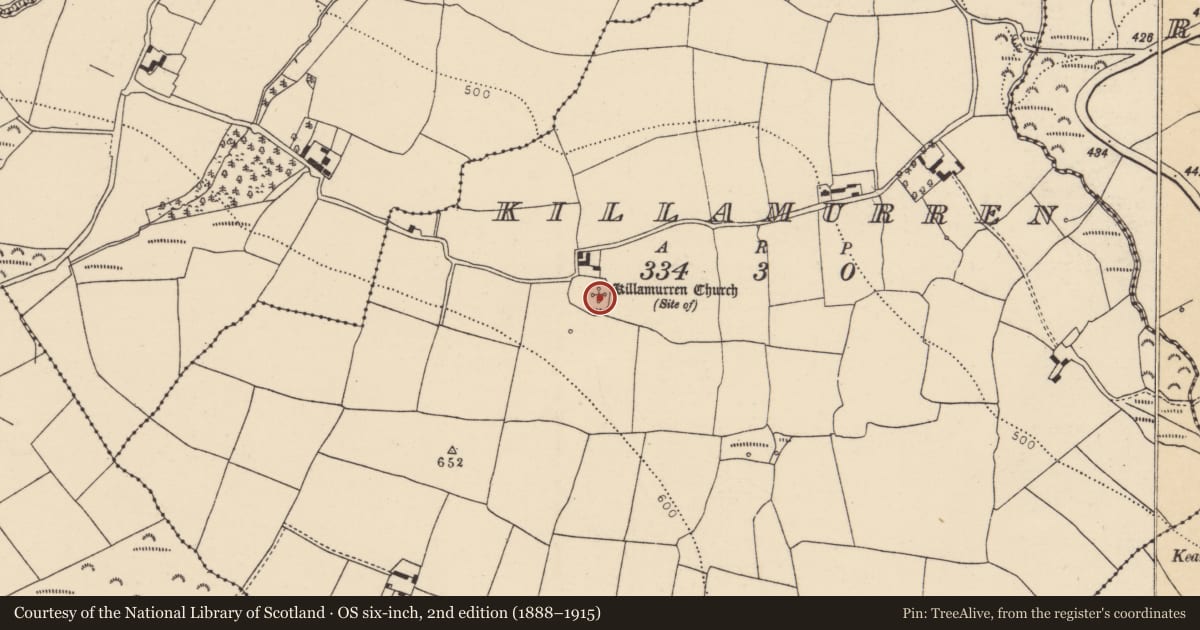 Ordnance Survey six-inch map, 2nd edition (1888–1915) covering the location of Church, Killamurren, County Cork, with a pin at the register's coordinates