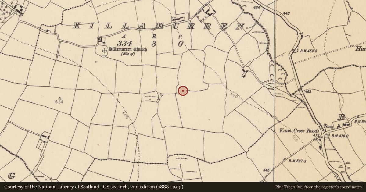Ordnance Survey six-inch map, 2nd edition (1888–1915) covering the location of Ringfort - rath, Killamurren, County Cork, with a pin at the register's coordinates