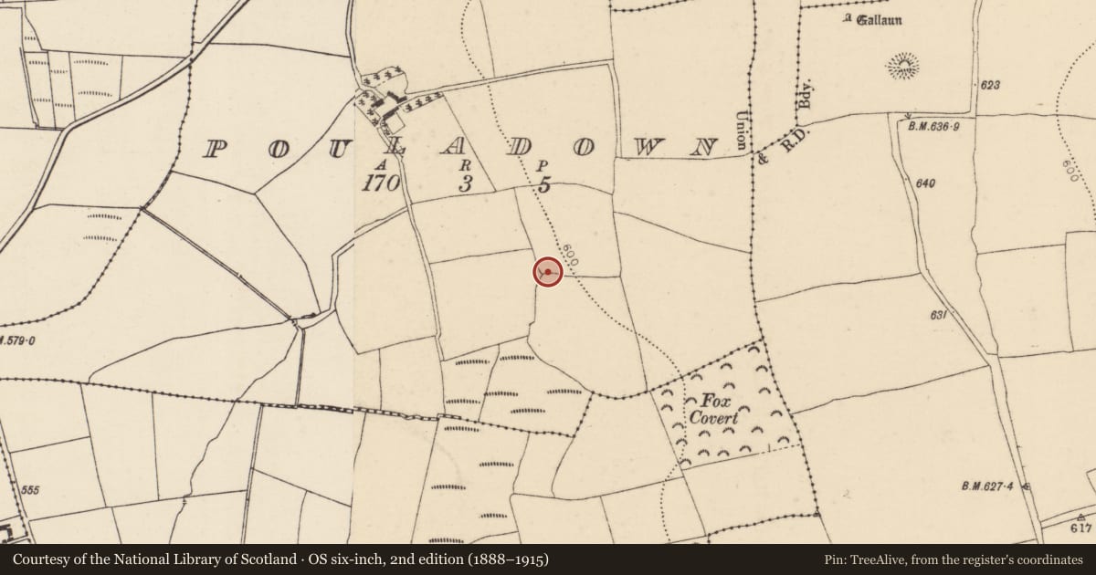 Ordnance Survey six-inch map, 2nd edition (1888–1915) covering the location of Ringfort - rath, Pouladown, County Cork, with a pin at the register's coordinates