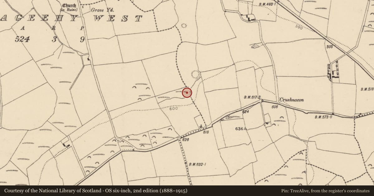 Ordnance Survey six-inch map, 2nd edition (1888–1915) covering the location of Fulacht fia, Ardnageehy West, County Cork, with a pin at the register's coordinates