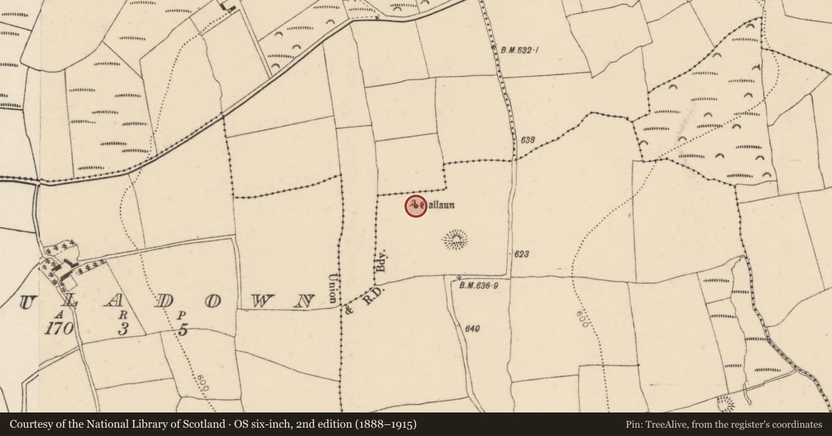 Ordnance Survey six-inch map, 2nd edition (1888–1915) covering the location of Standing stone, Ballinlegane, County Cork, with a pin at the register's coordinates