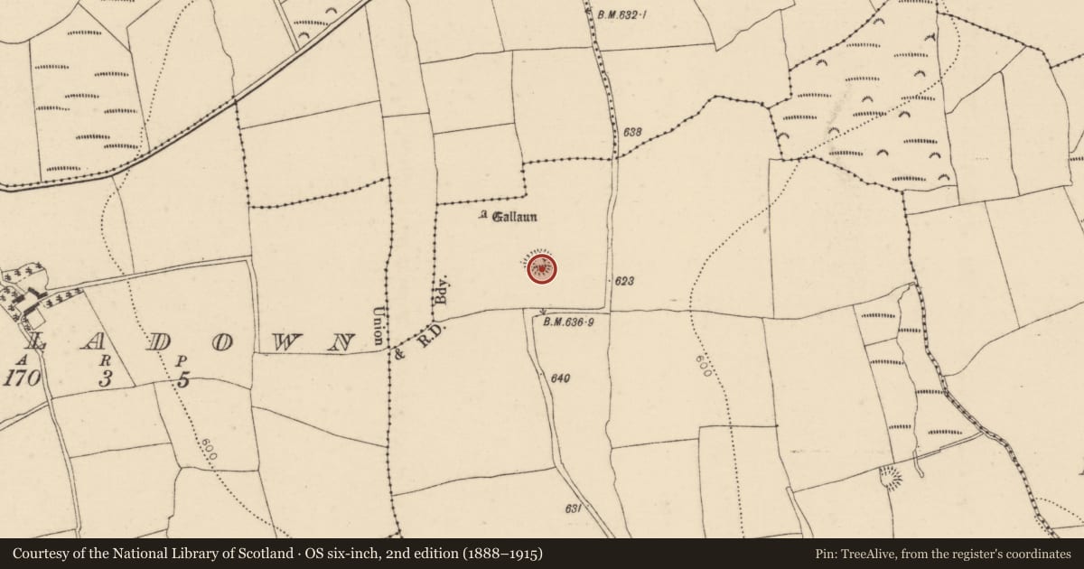 Ordnance Survey six-inch map, 2nd edition (1888–1915) covering the location of Ringfort - rath, Ballinlegane, County Cork, with a pin at the register's coordinates