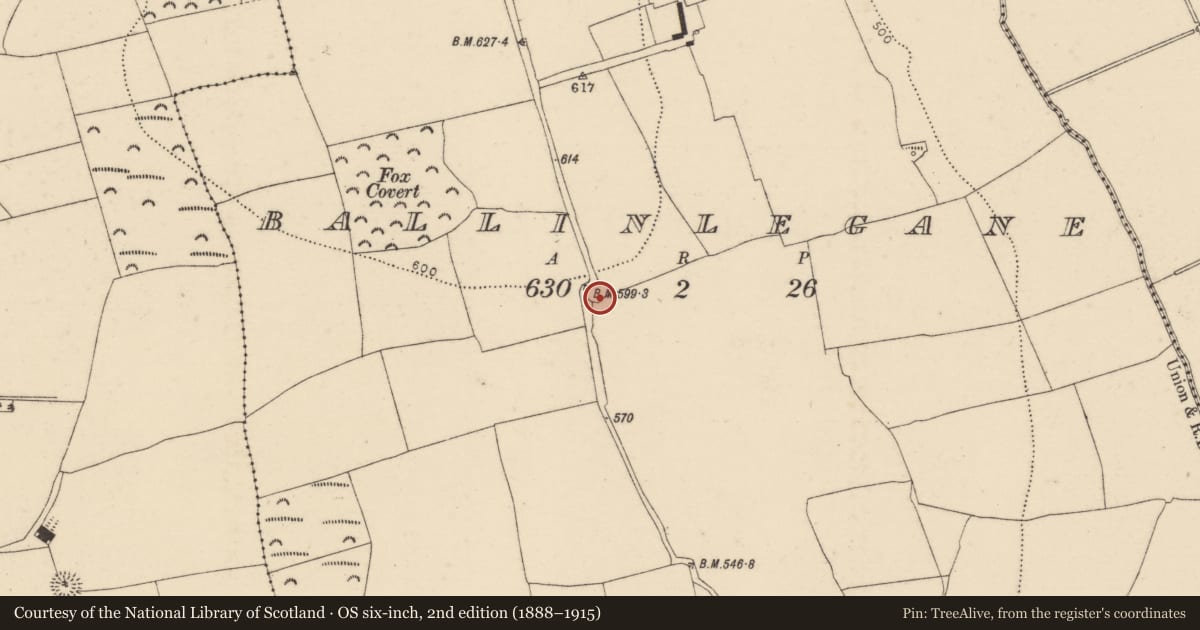 Ordnance Survey six-inch map, 2nd edition (1888–1915) covering the location of Ringfort - rath, Ballinlegane, County Cork, with a pin at the register's coordinates