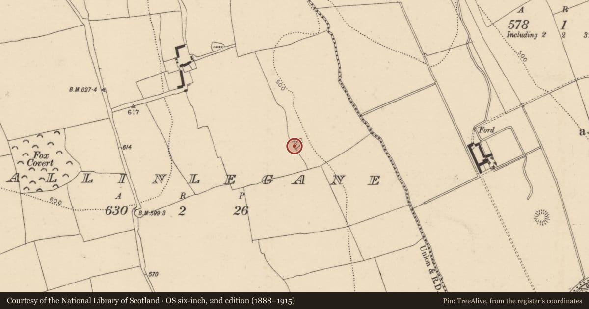 Ordnance Survey six-inch map, 2nd edition (1888–1915) covering the location of Fulacht fia, Ballinlegane, County Cork, with a pin at the register's coordinates