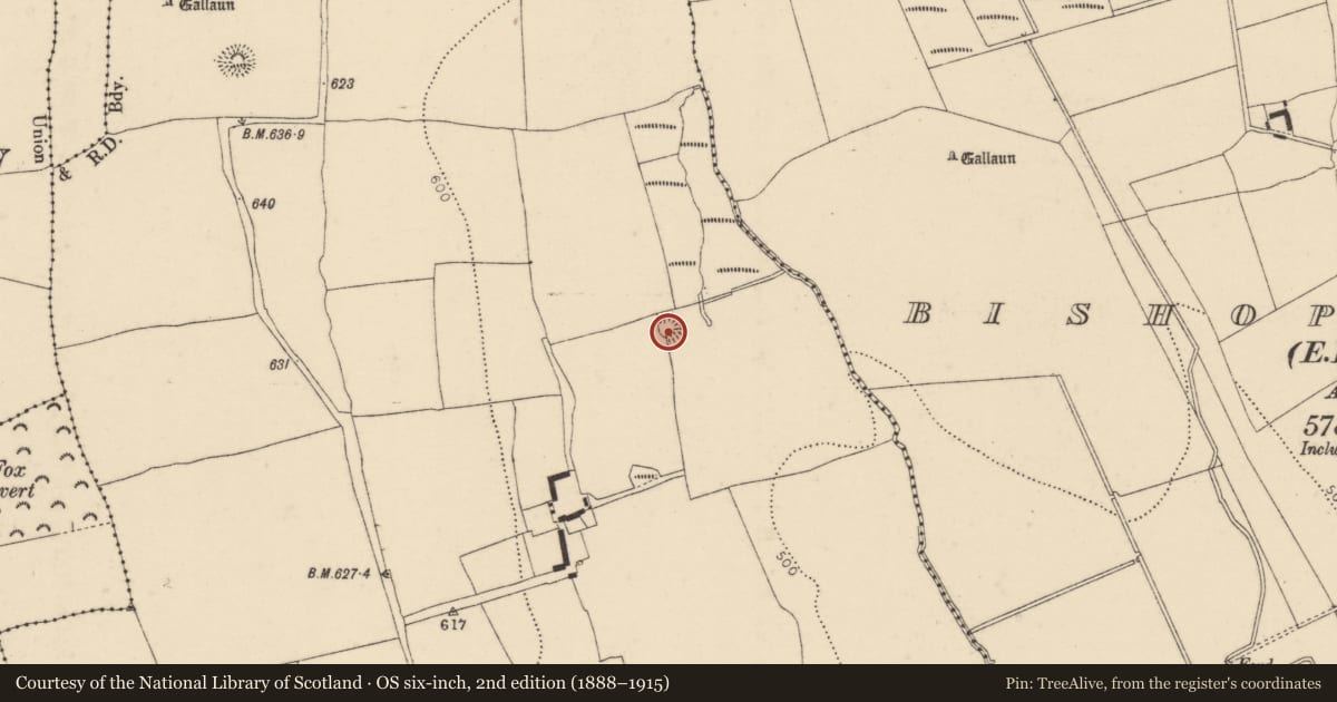 Ordnance Survey six-inch map, 2nd edition (1888–1915) covering the location of Ringfort - rath, Ballinlegane, County Cork, with a pin at the register's coordinates