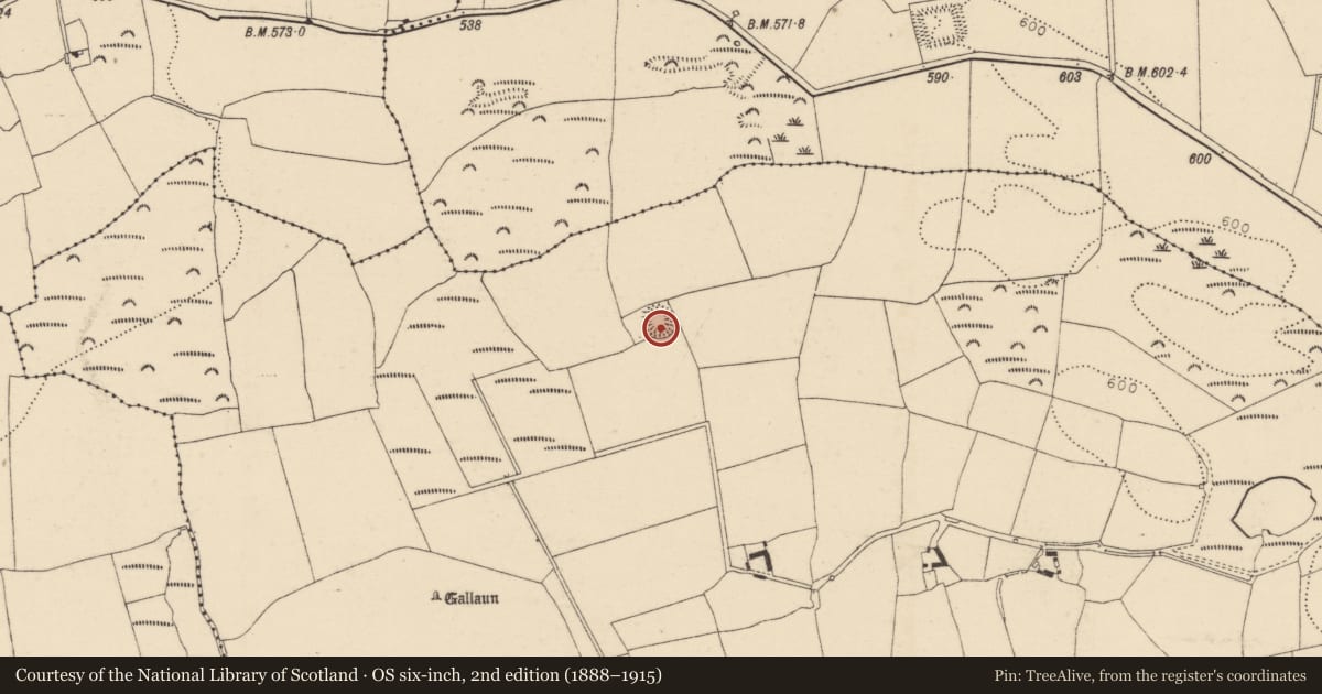 Ordnance Survey six-inch map, 2nd edition (1888–1915) covering the location of Ringfort - rath, Bishop'S Island (Barrymore By., Ardnageehy Par.), County Cork, with a pin at the register's coordinates
