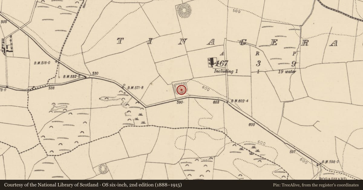 Ordnance Survey six-inch map, 2nd edition (1888–1915) covering the location of Moated site, Tinageragh, County Cork, with a pin at the register's coordinates