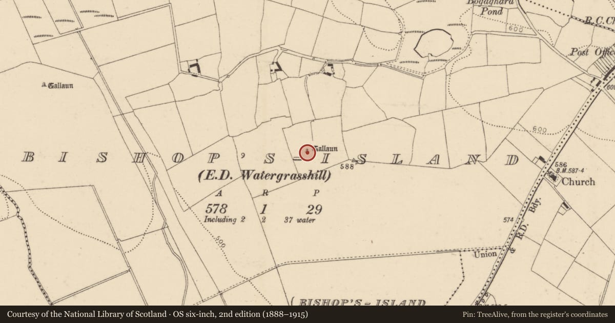 Ordnance Survey six-inch map, 2nd edition (1888–1915) covering the location of Standing stone, Bishop'S Island (Barrymore By., Ardnageehy Par.), County Cork, with a pin at the register's coordinates