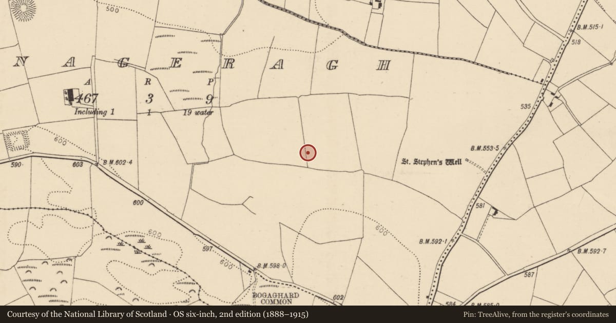 Ordnance Survey six-inch map, 2nd edition (1888–1915) covering the location of Ringfort - rath, Tinageragh, County Cork, with a pin at the register's coordinates