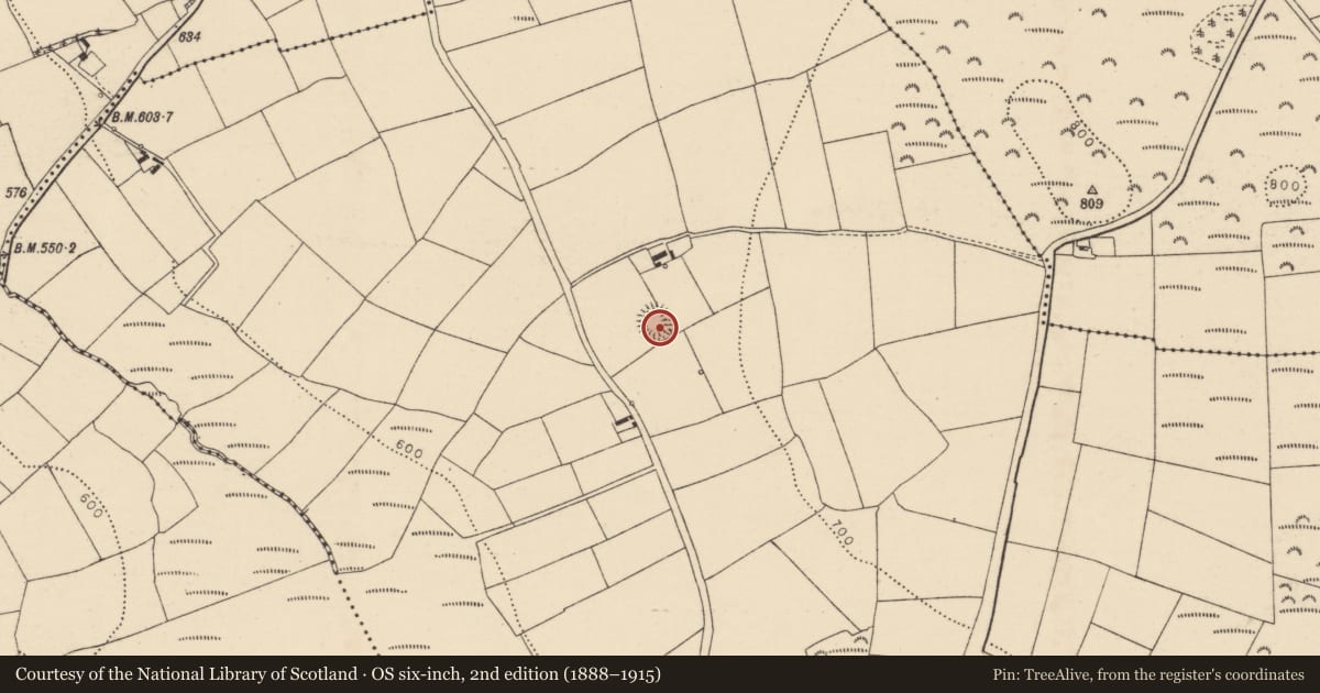 Ordnance Survey six-inch map, 2nd edition (1888–1915) covering the location of Ringfort - rath, Skahanagh South, County Cork, with a pin at the register's coordinates
