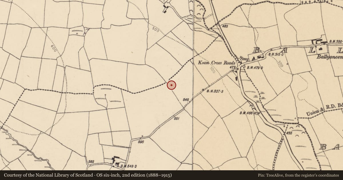 Ordnance Survey six-inch map, 2nd edition (1888–1915) covering the location of Ringfort - rath, Ballyrobert (Barrymore By., Gortroe Par.), County Cork, with a pin at the register's coordinates