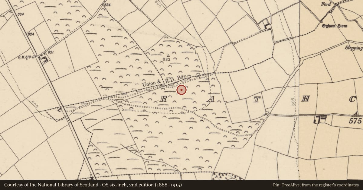 Ordnance Survey six-inch map, 2nd edition (1888–1915) covering the location of Ringfort - rath, Rathcobane, County Cork, with a pin at the register's coordinates