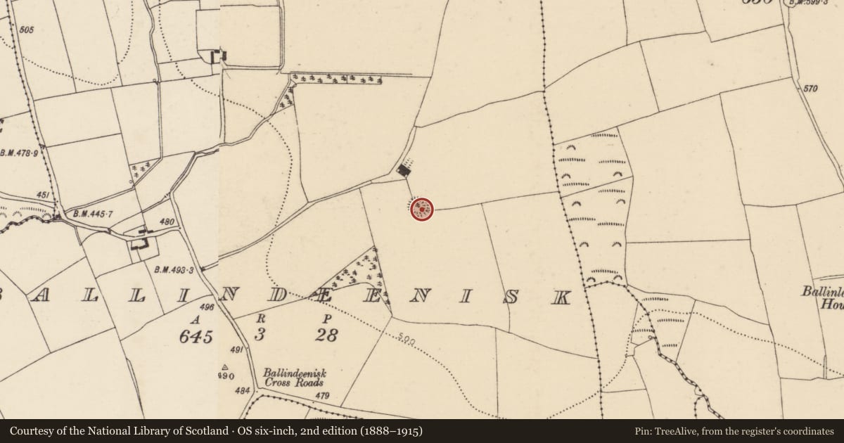 Ordnance Survey six-inch map, 2nd edition (1888–1915) covering the location of Ringfort - rath, Ballindeenisk, County Cork, with a pin at the register's coordinates