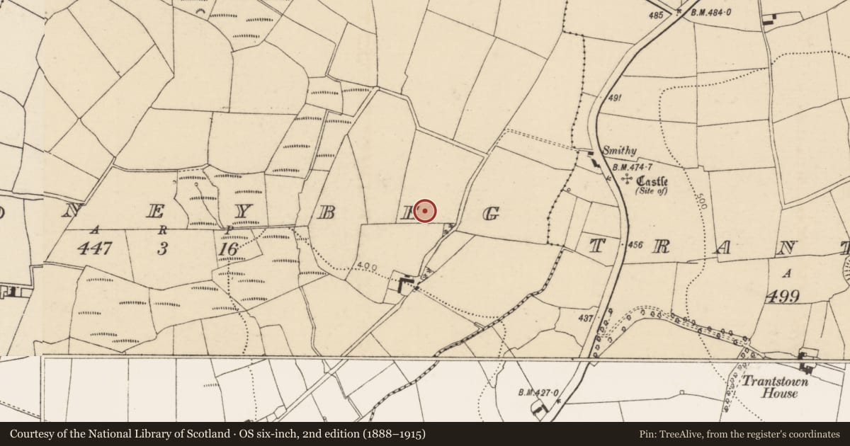 Ordnance Survey six-inch map, 2nd edition (1888–1915) covering the location of Ringfort - rath, Coneybeg, County Cork, with a pin at the register's coordinates
