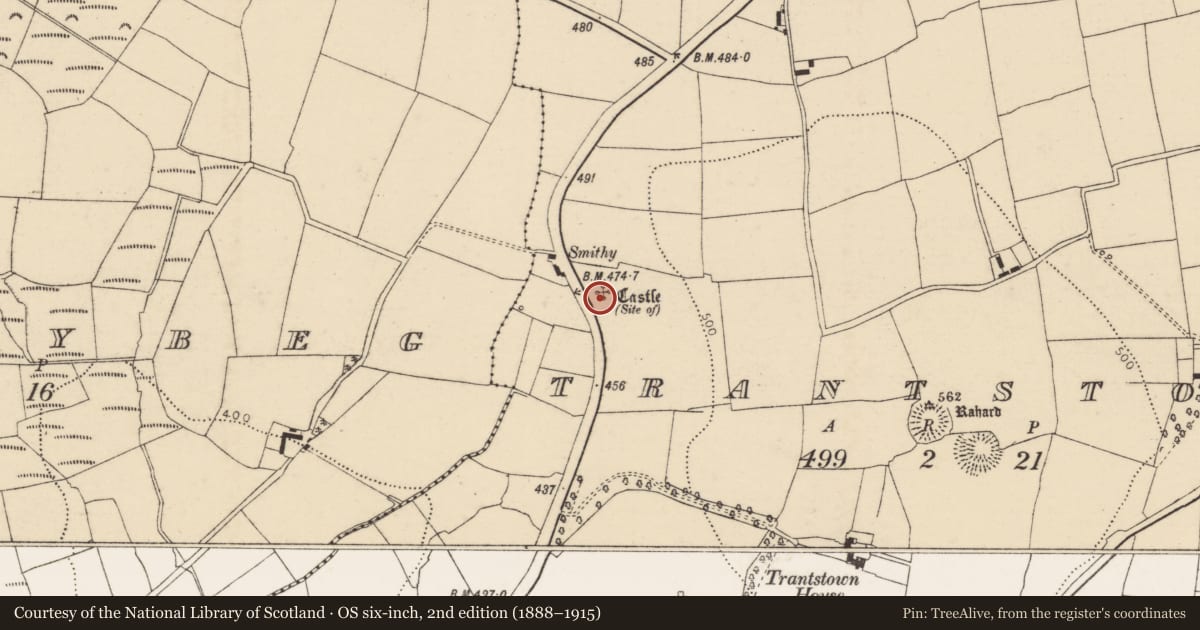 Ordnance Survey six-inch map, 2nd edition (1888–1915) covering the location of Castle - unclassified, Trantstown, County Cork, with a pin at the register's coordinates
