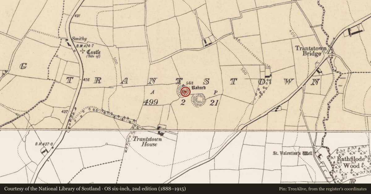 Ordnance Survey six-inch map, 2nd edition (1888–1915) covering the location of Ringfort - rath, Trantstown, County Cork, with a pin at the register's coordinates