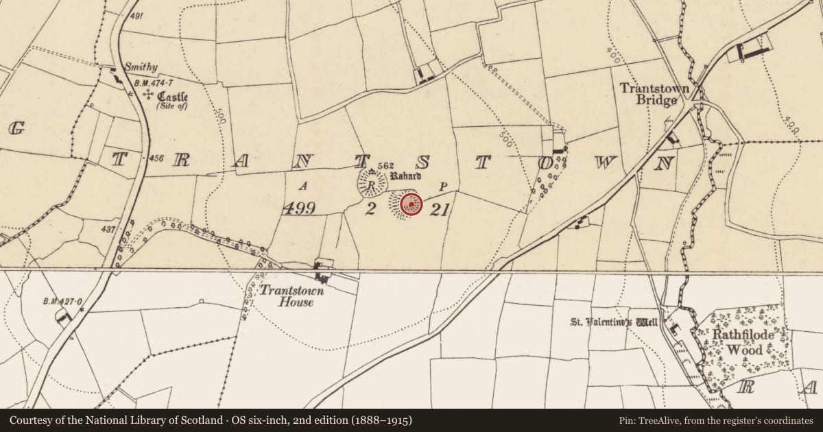 Ordnance Survey six-inch map, 2nd edition (1888–1915) covering the location of Ringfort - rath, Trantstown, County Cork, with a pin at the register's coordinates