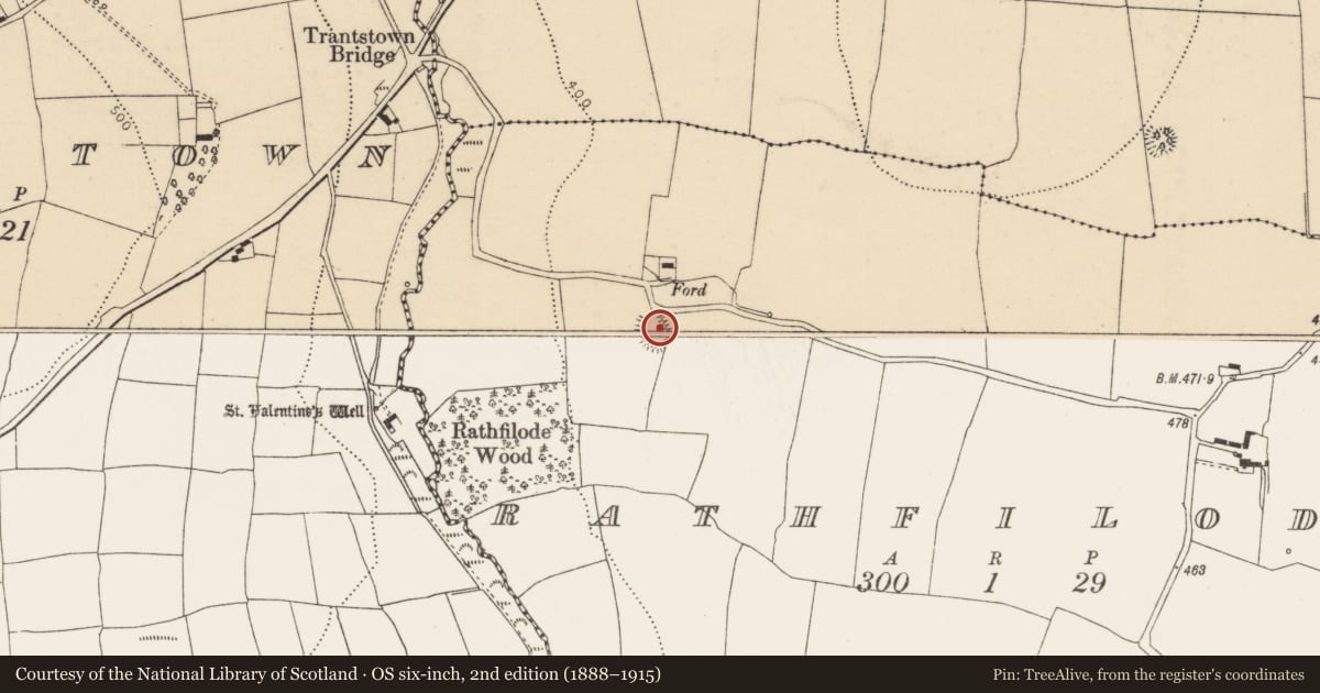 Ordnance Survey six-inch map, 2nd edition (1888–1915) covering the location of Ringfort - rath, Rathfilode, County Cork, with a pin at the register's coordinates