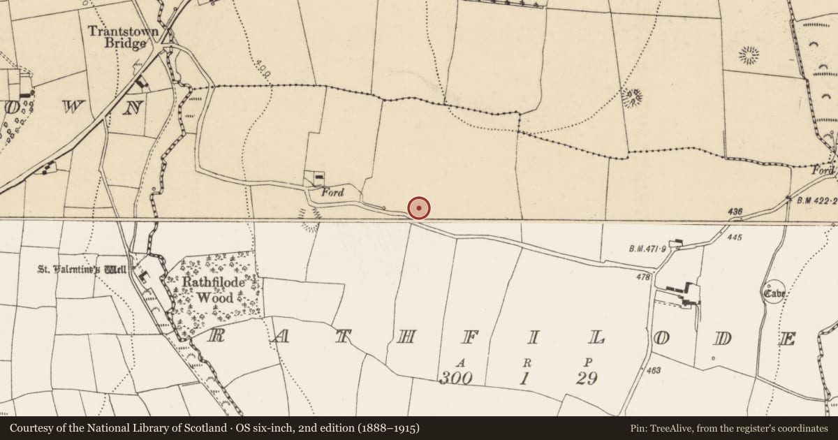 Ordnance Survey six-inch map, 2nd edition (1888–1915) covering the location of Ringfort - rath, Rathfilode, County Cork, with a pin at the register's coordinates