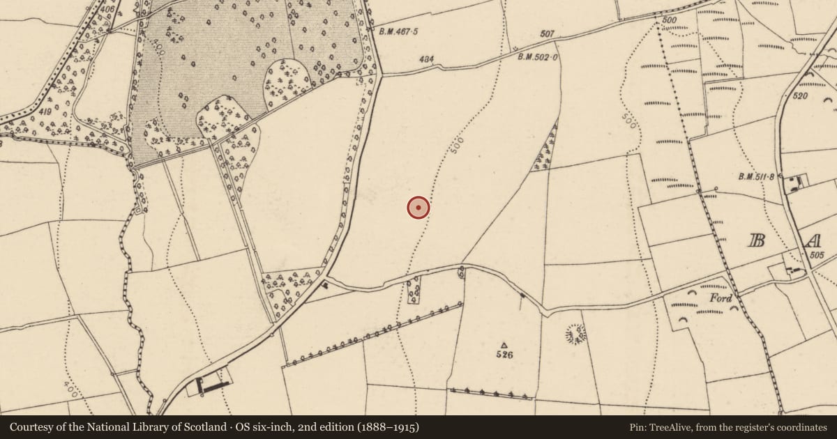 Ordnance Survey six-inch map, 2nd edition (1888–1915) covering the location of Enclosure, Mitchellsfort, County Cork, with a pin at the register's coordinates