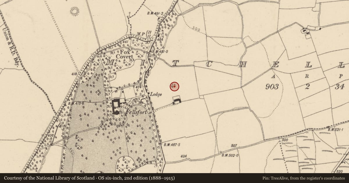 Ordnance Survey six-inch map, 2nd edition (1888–1915) covering the location of Designed landscape - tree-ring, Mitchellsfort, County Cork, with a pin at the register's coordinates