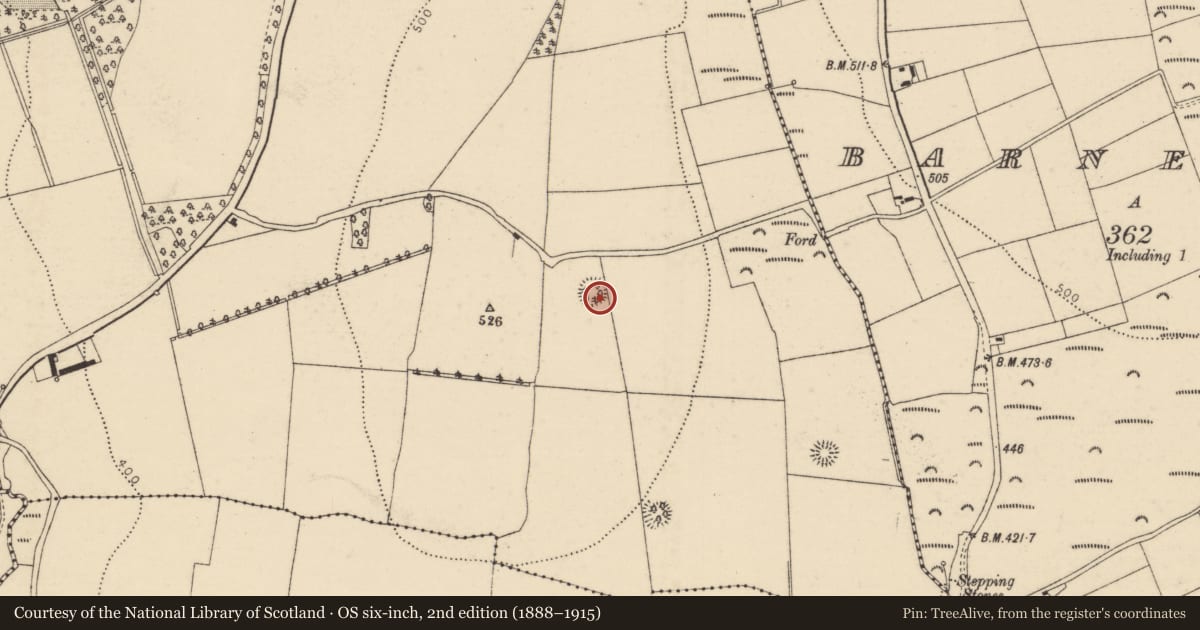 Ordnance Survey six-inch map, 2nd edition (1888–1915) covering the location of Ringfort - rath, Mitchellsfort, County Cork, with a pin at the register's coordinates