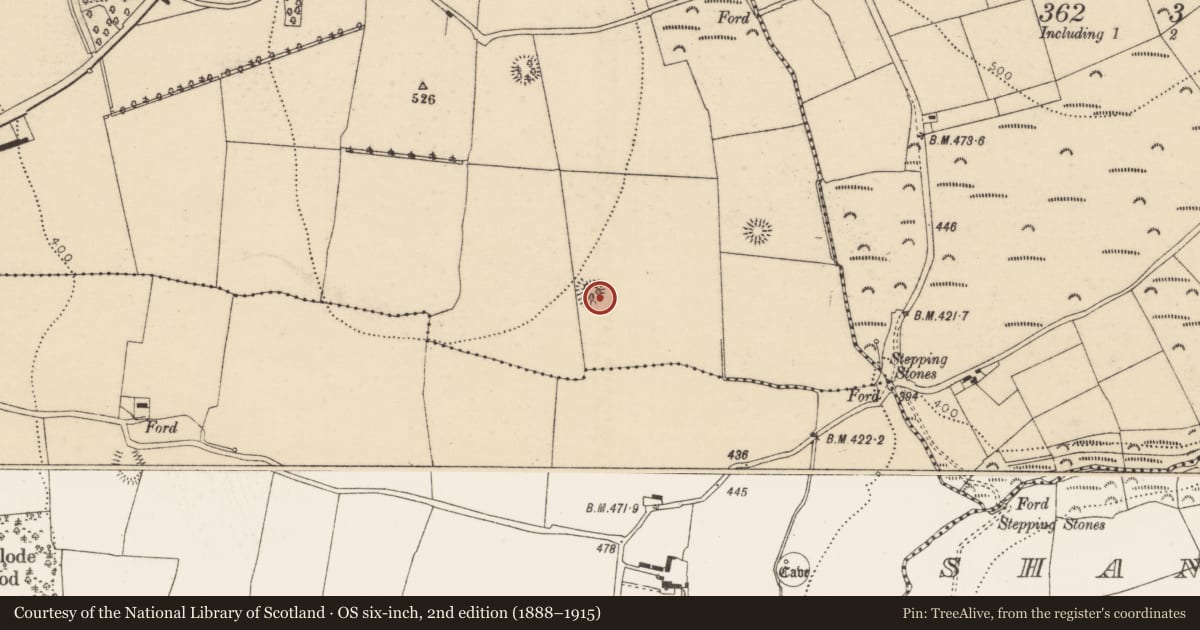 Ordnance Survey six-inch map, 2nd edition (1888–1915) covering the location of Ringfort - rath, Mitchellsfort, County Cork, with a pin at the register's coordinates