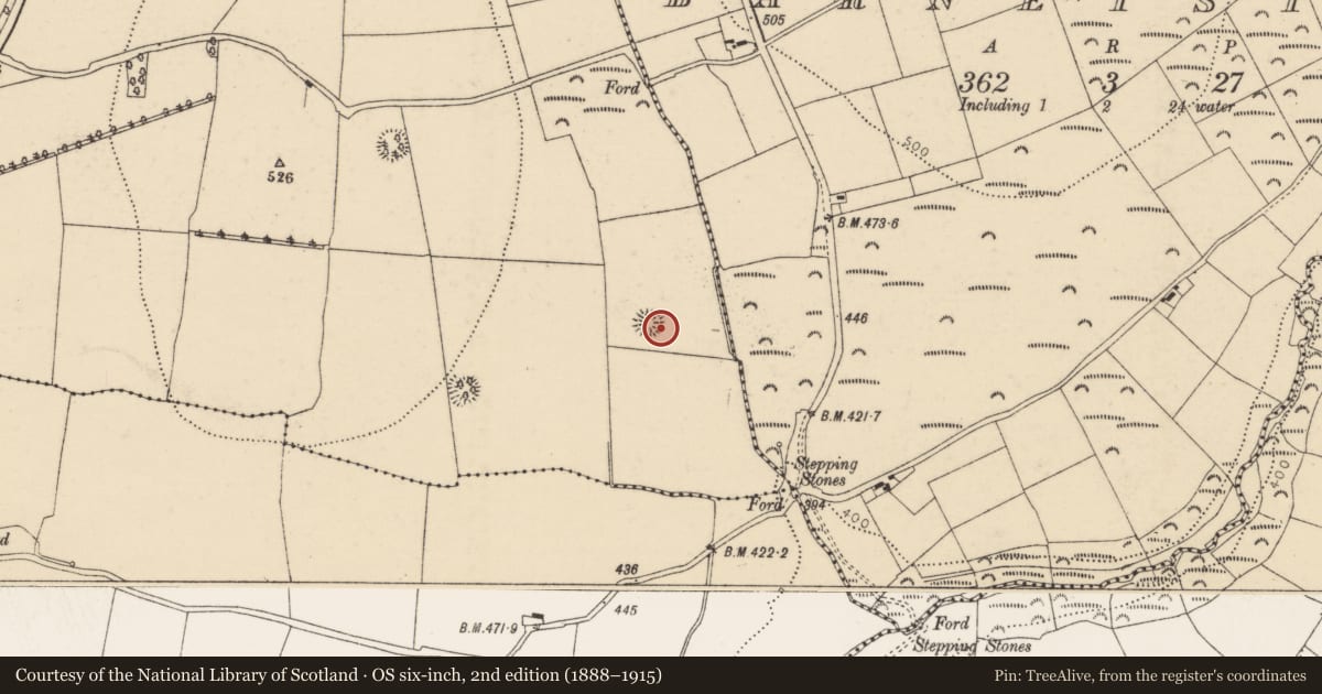 Ordnance Survey six-inch map, 2nd edition (1888–1915) covering the location of Ringfort - rath, Mitchellsfort, County Cork, with a pin at the register's coordinates