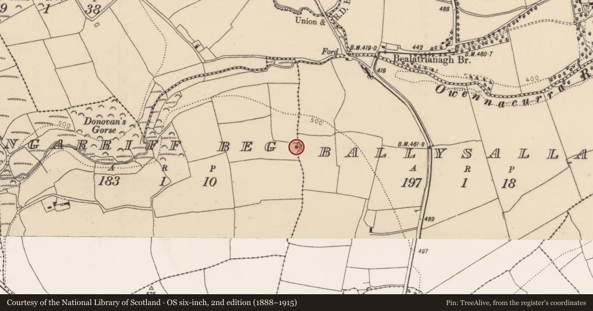 Ordnance Survey six-inch map, 2nd edition (1888–1915) covering the location of Ringfort - rath, Glengarriff Beg, County Cork, with a pin at the register's coordinates