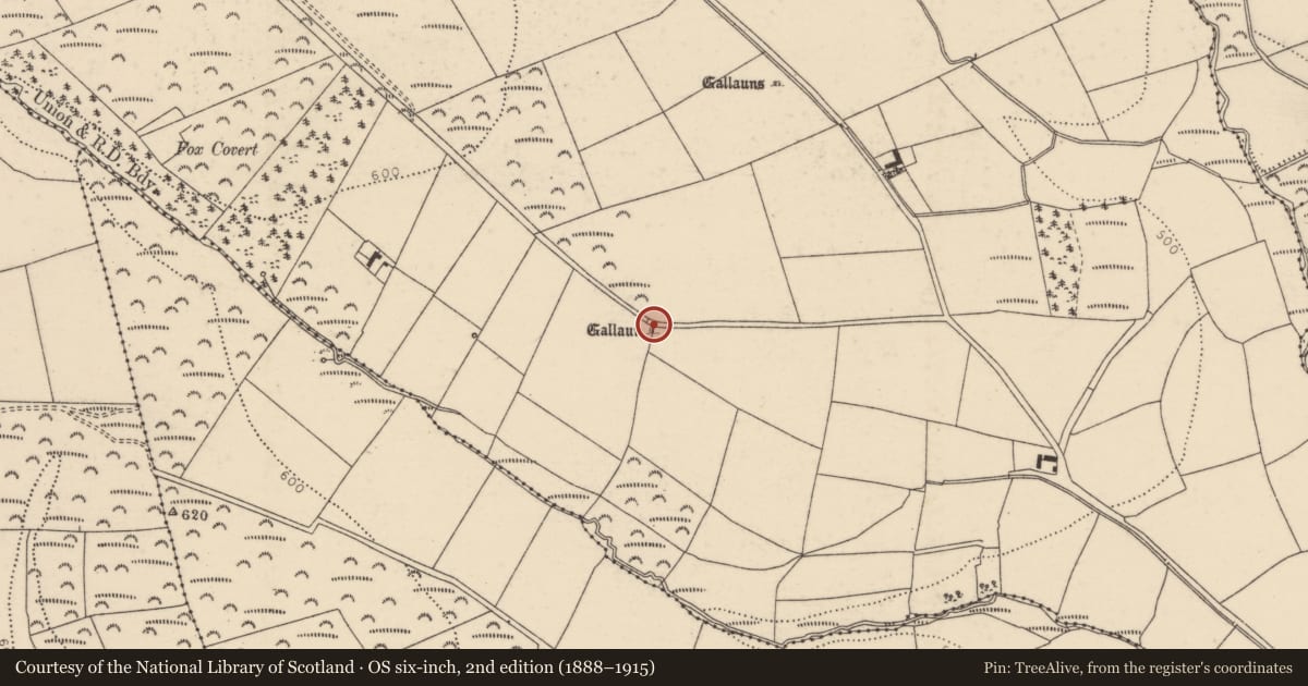 Ordnance Survey six-inch map, 2nd edition (1888–1915) covering the location of Standing stone, Knockeennagroagh, County Cork, with a pin at the register's coordinates