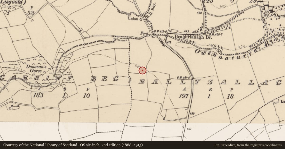 Ordnance Survey six-inch map, 2nd edition (1888–1915) covering the location of Ringfort - rath, Ballysallagh, County Cork, with a pin at the register's coordinates