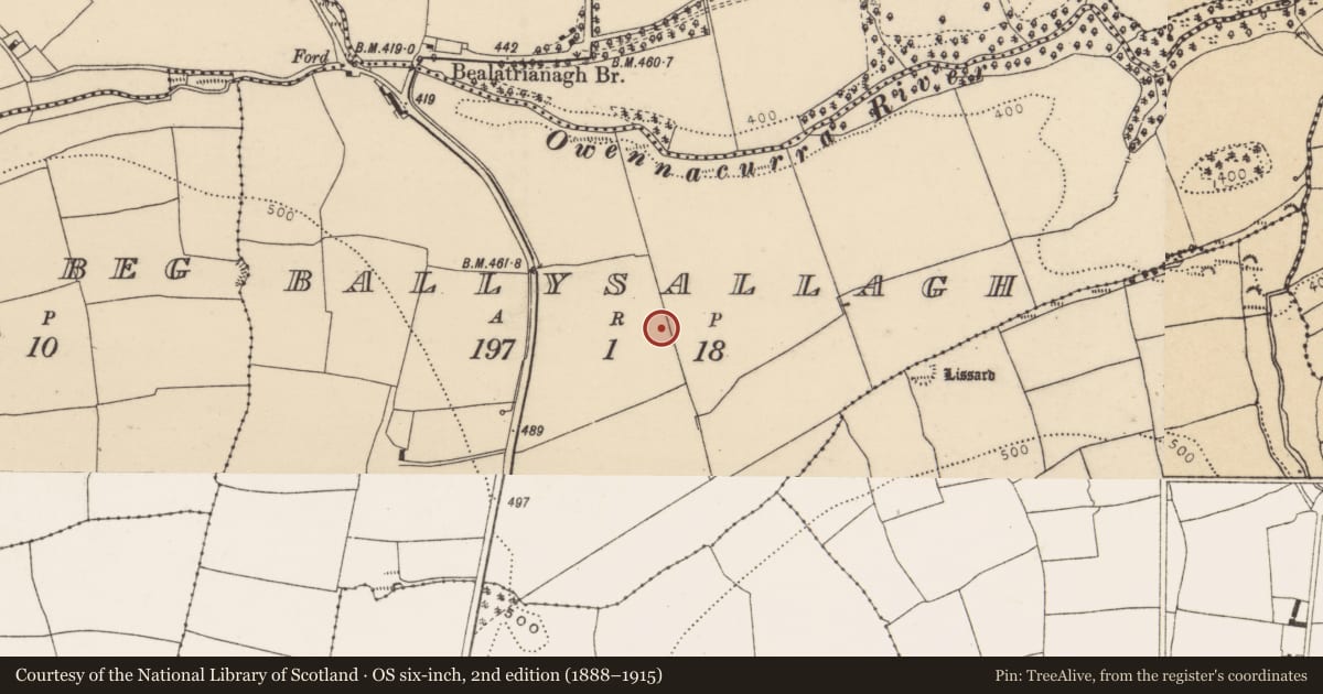 Ordnance Survey six-inch map, 2nd edition (1888–1915) covering the location of Ringfort - rath, Ballysallagh, County Cork, with a pin at the register's coordinates