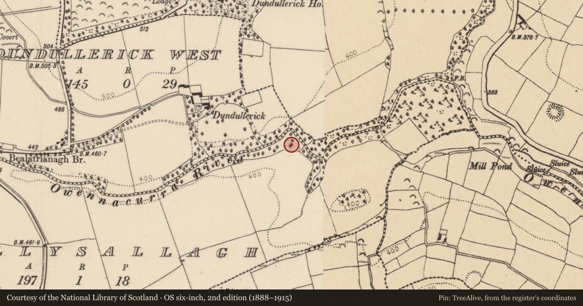 Ordnance Survey six-inch map, 2nd edition (1888–1915) covering the location of Ringfort - rath, Ballysallagh, County Cork, with a pin at the register's coordinates